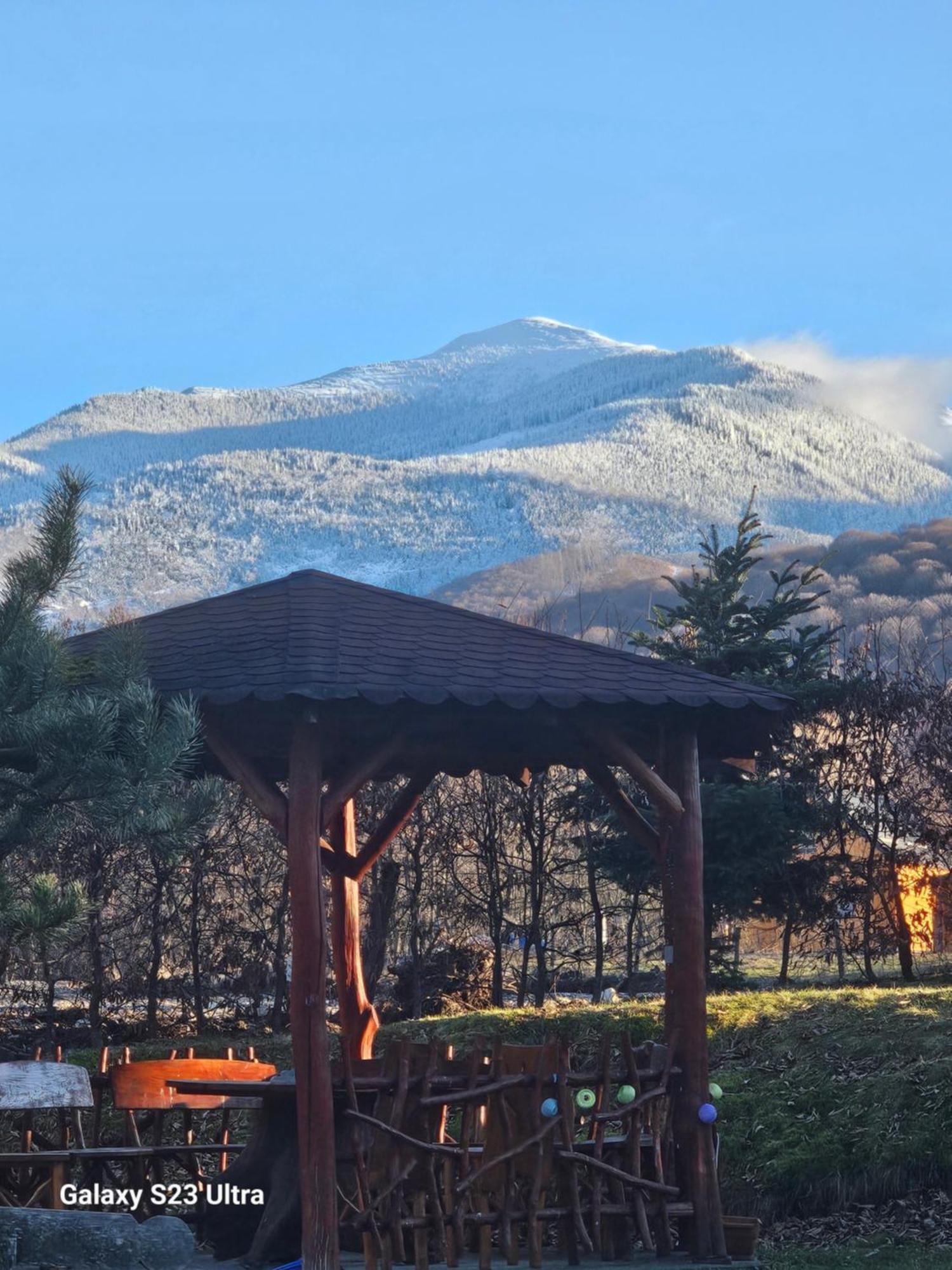 Casa De Vacanta Marin Arpaşu de Sus 外观 照片