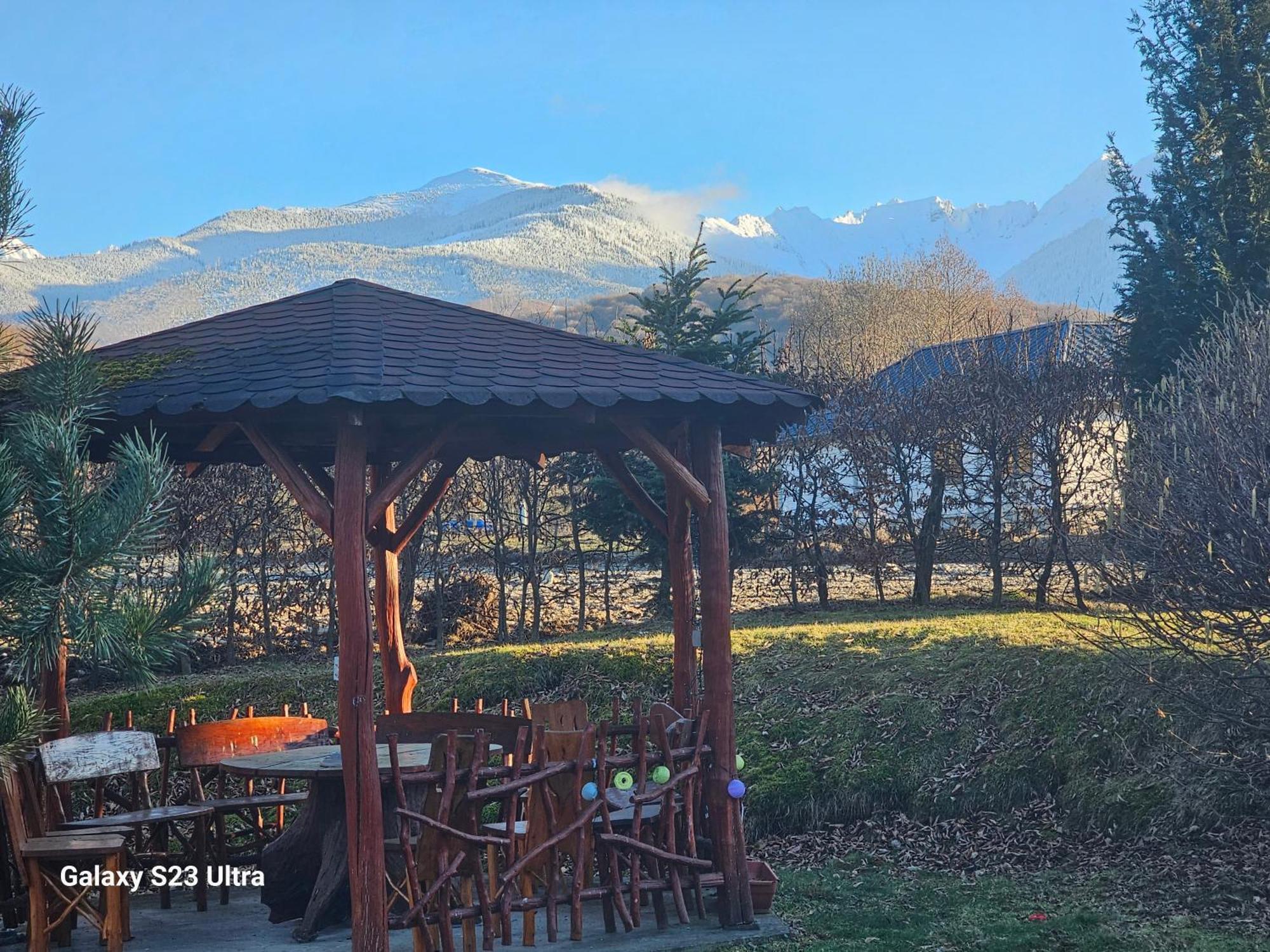 Casa De Vacanta Marin Arpaşu de Sus 外观 照片