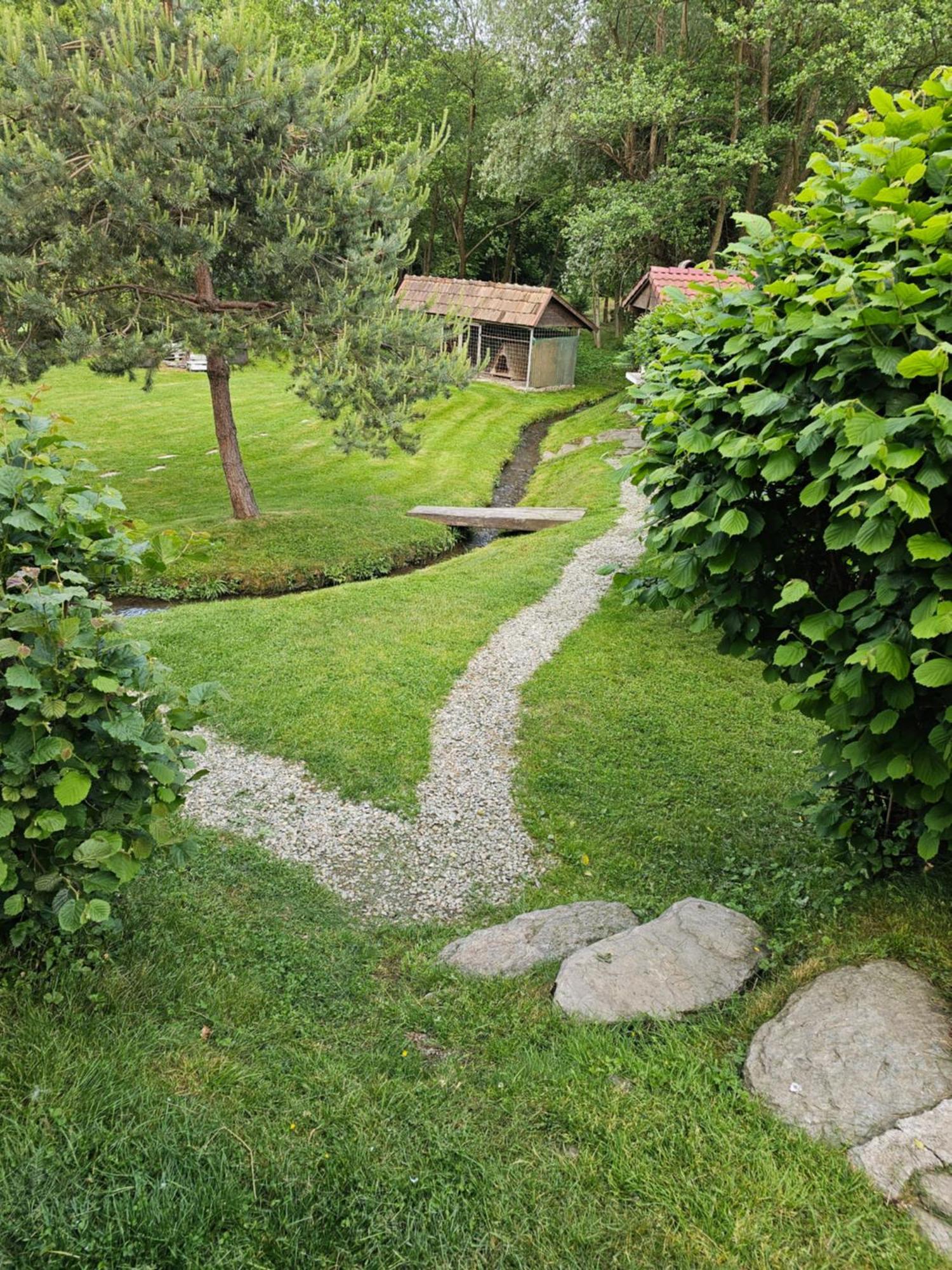 Casa De Vacanta Marin Arpaşu de Sus 外观 照片