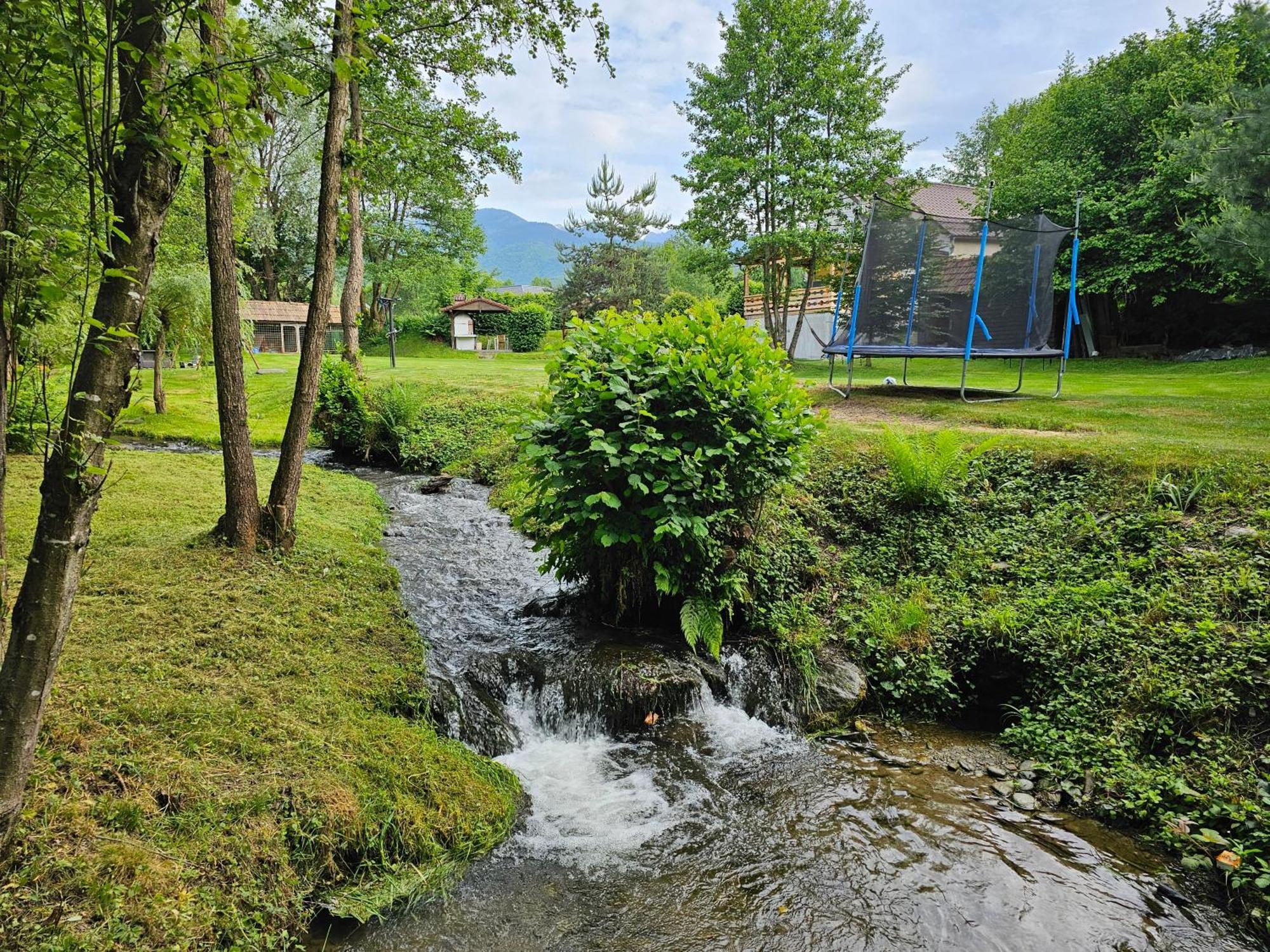 Casa De Vacanta Marin Arpaşu de Sus 外观 照片