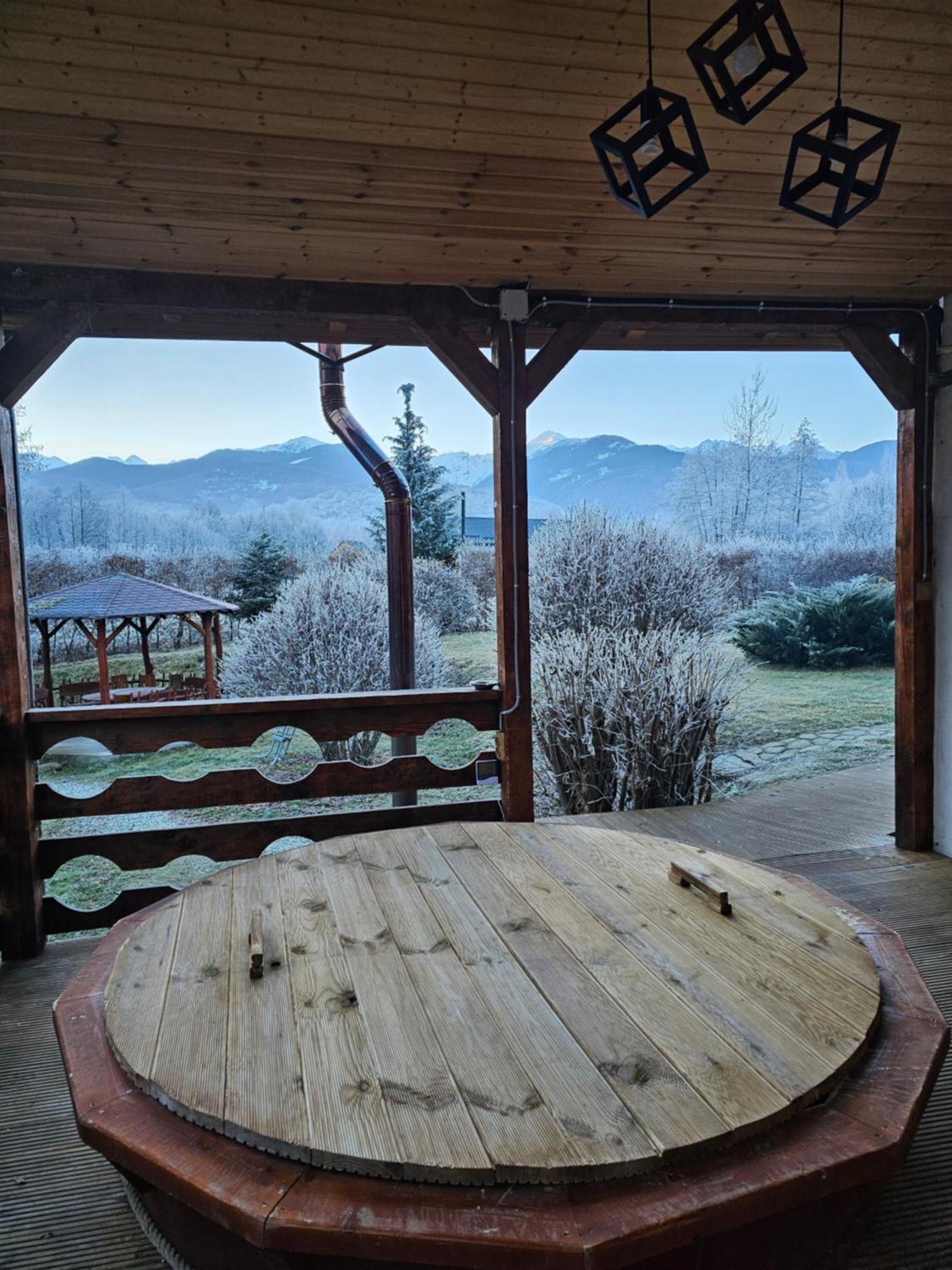 Casa De Vacanta Marin Arpaşu de Sus 外观 照片