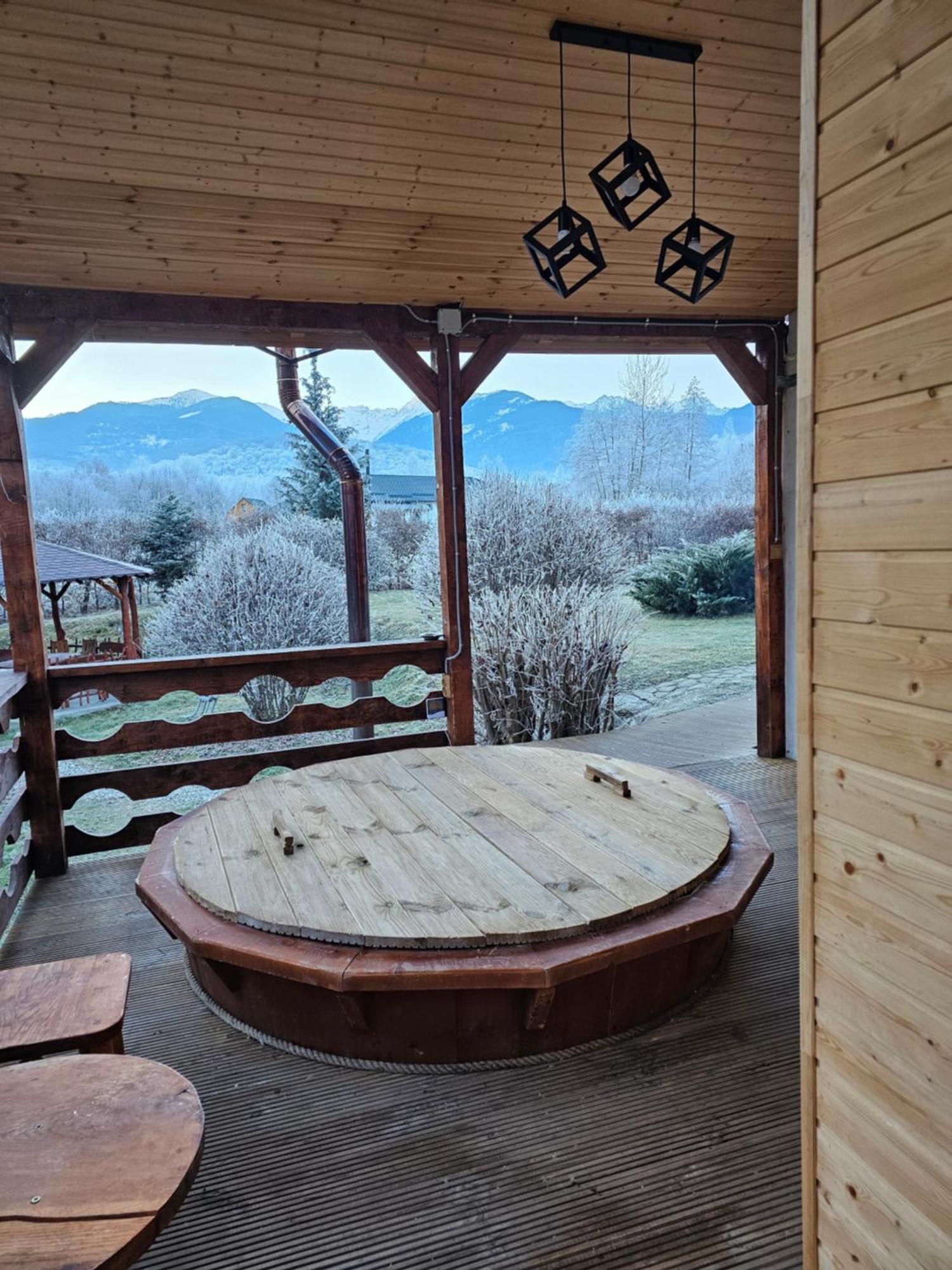 Casa De Vacanta Marin Arpaşu de Sus 外观 照片