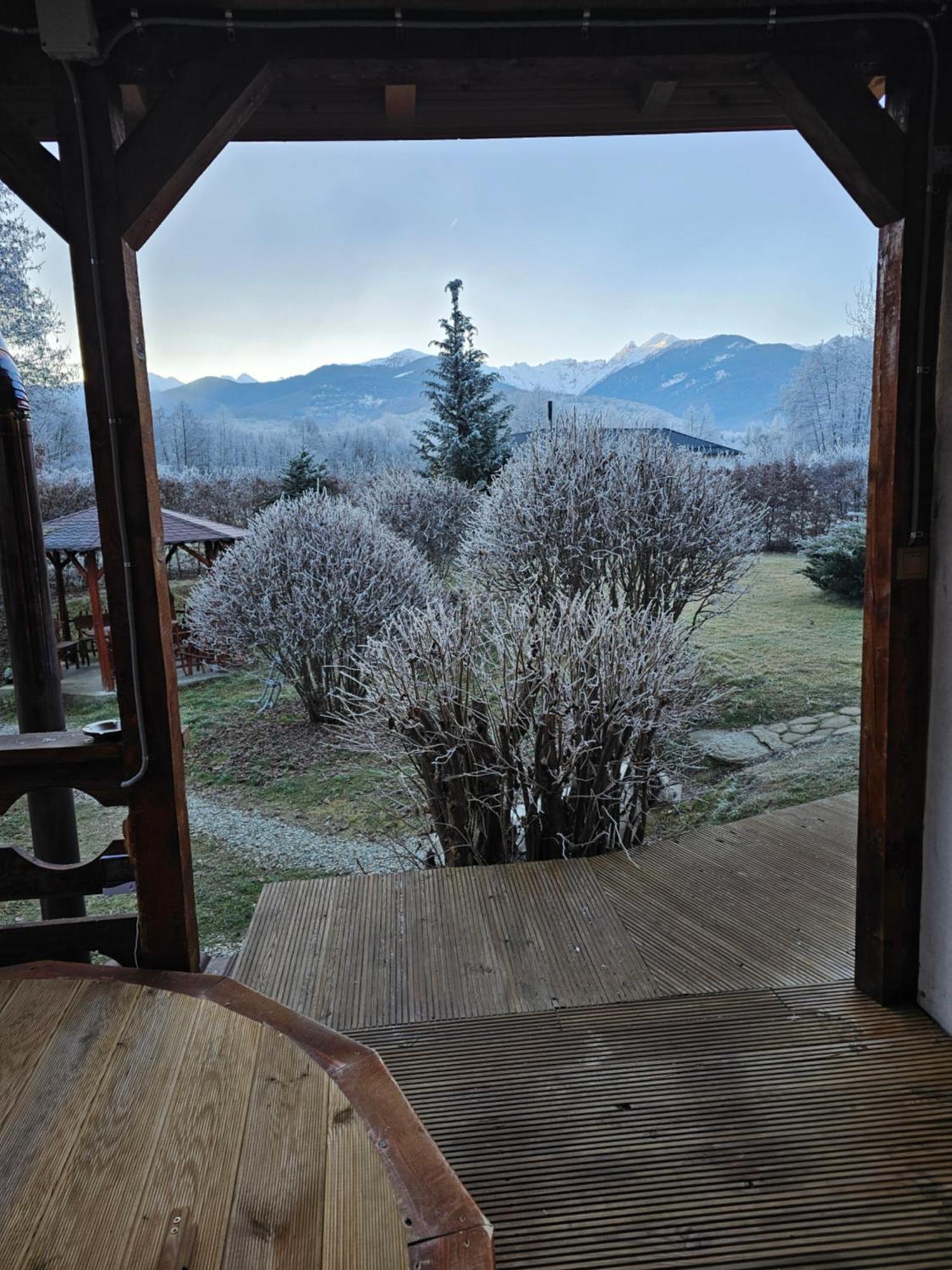 Casa De Vacanta Marin Arpaşu de Sus 外观 照片