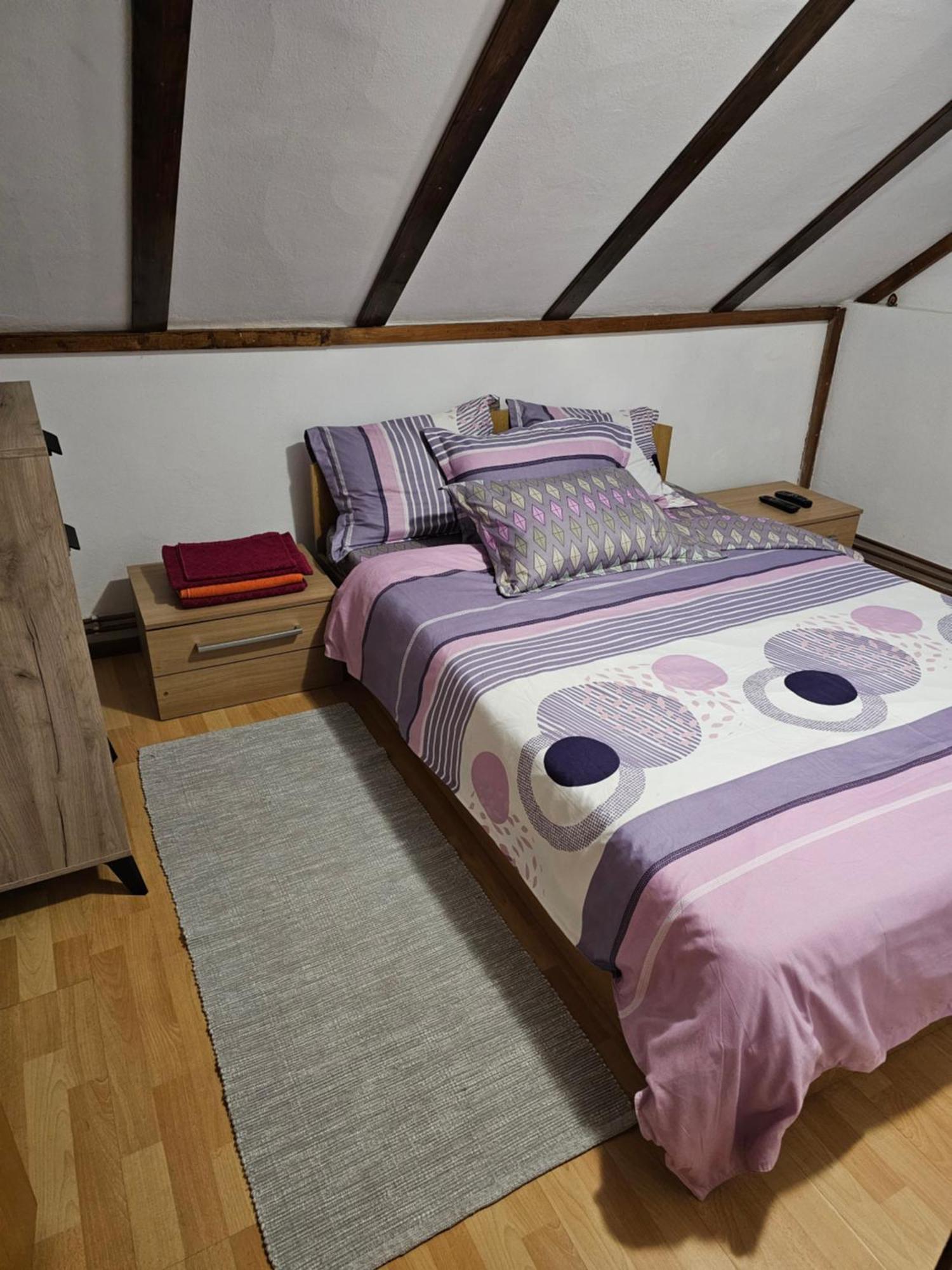 Casa De Vacanta Marin Arpaşu de Sus 外观 照片