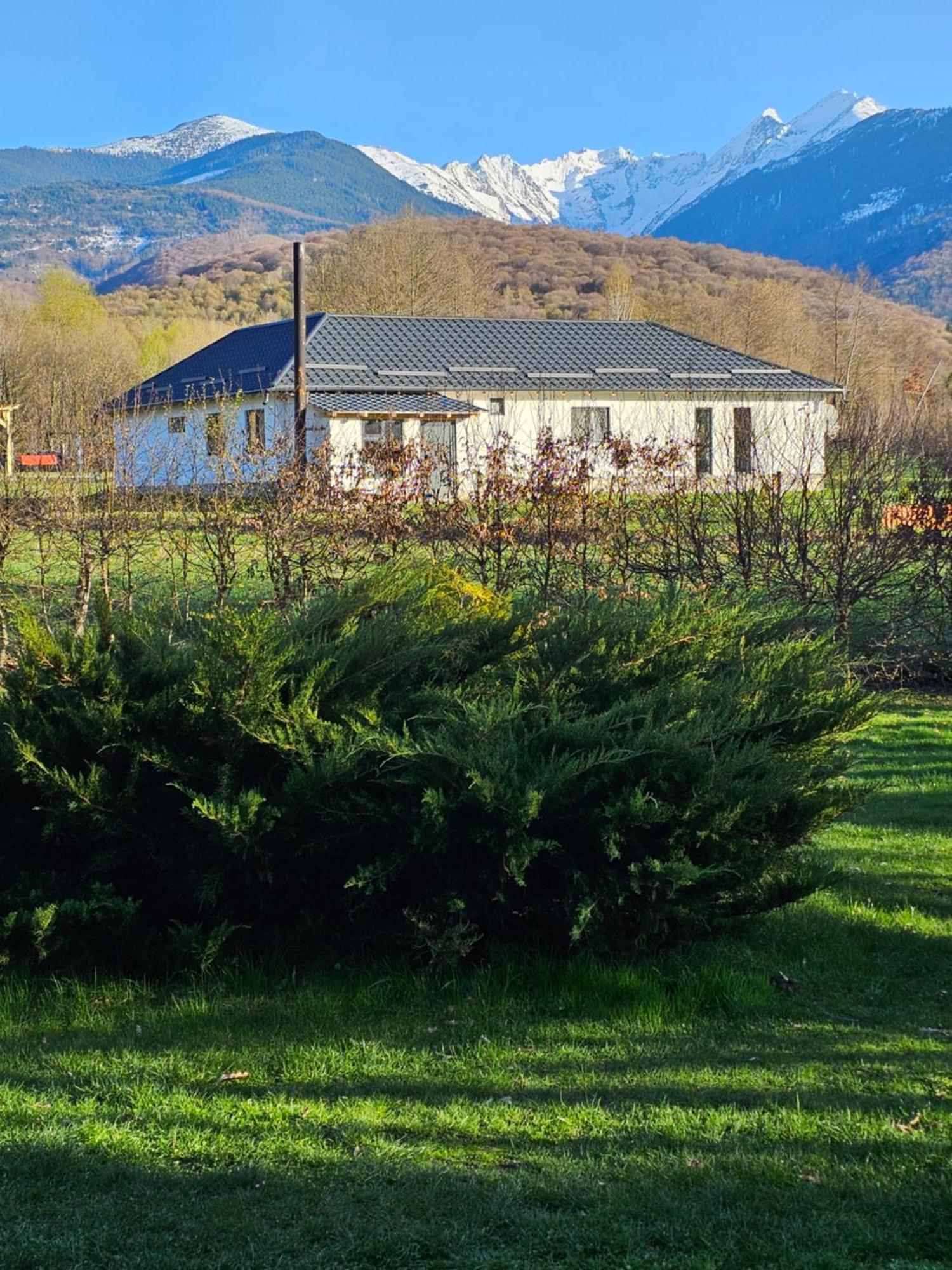 Casa De Vacanta Marin Arpaşu de Sus 外观 照片
